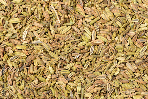 Dried fennel seeds as an abstract background texture