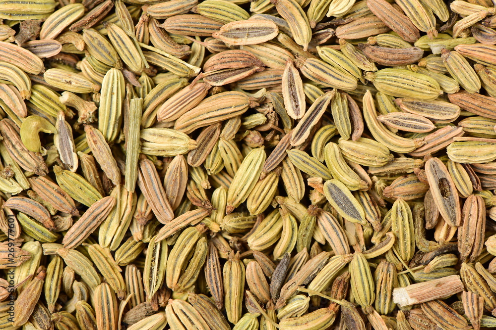 Dried fennel seeds as an abstract background texture Dried fennel seeds as an abstract background texture