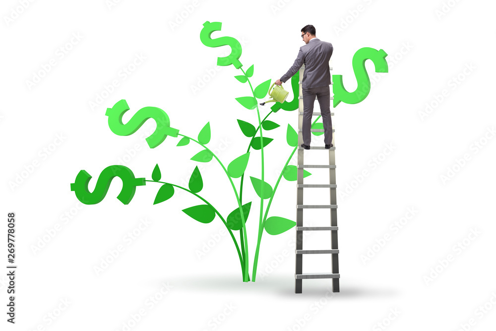 Money tree concept with businessman watering Money tree concept with businessman watering