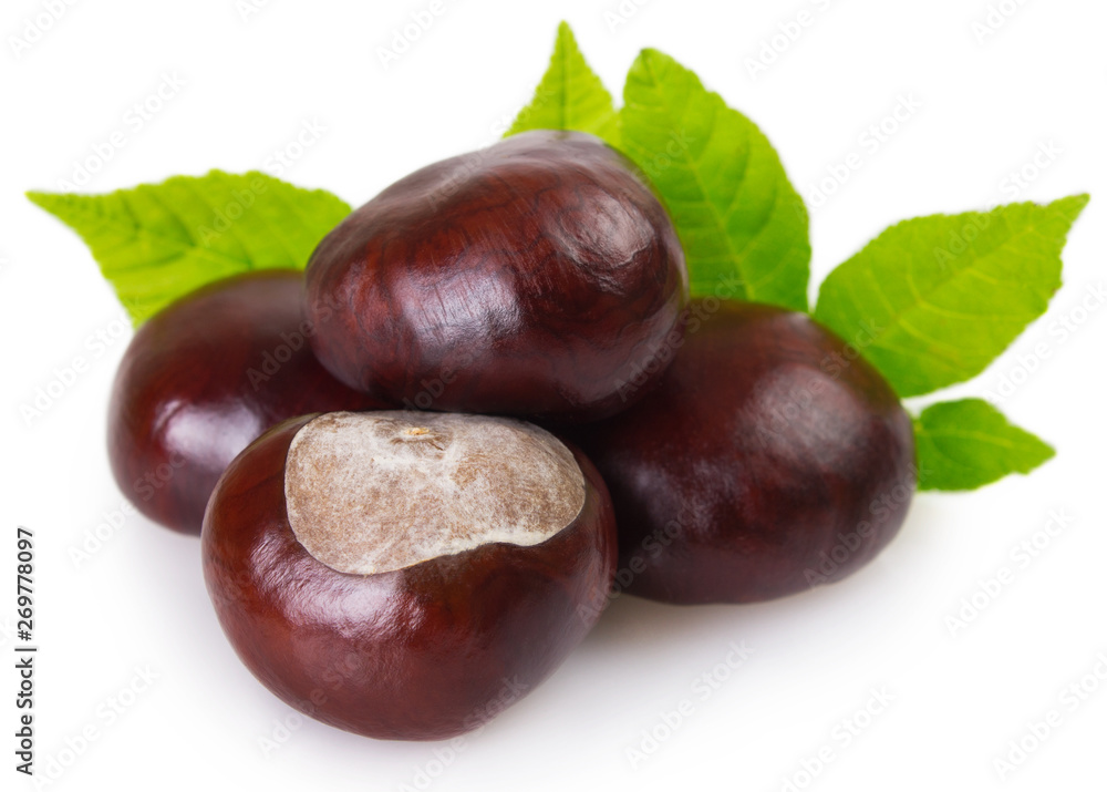 Fresh chestnut on white background Fresh chestnut on white background