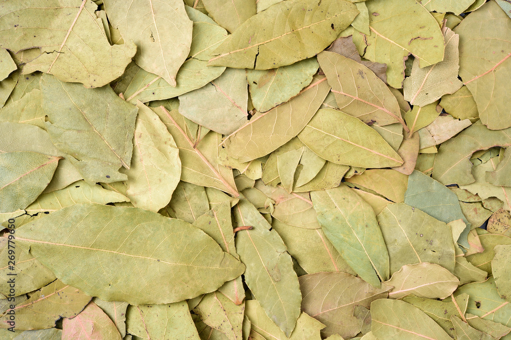 Dried bay leaves texture background Dried bay leaves texture background