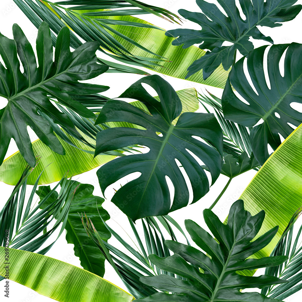 Tropical background with monstera and banana leaves.  Natural green fresh flat lay background. - obrazy, fototapety, plakaty 