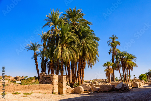 Palms on ruins of the ancient Karnak temple. Luxor  Egypt