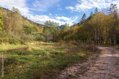 Road in the mountain and chalets.