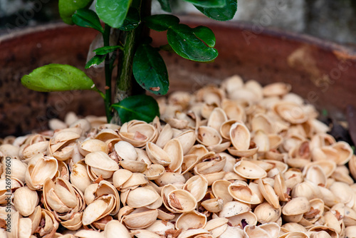 Peel the beans in a pot to plant trees for food. photo