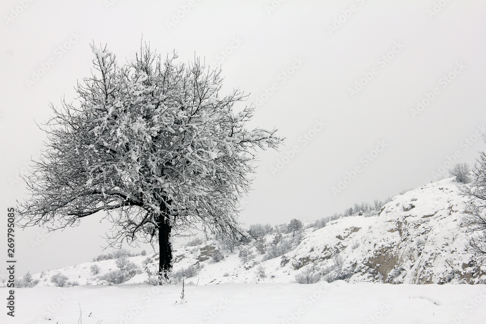 Fototapeta premium Winter in Serbia