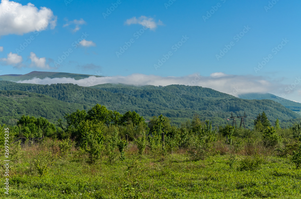 Mountains Carpathians covered with green trees with clouds in the sky