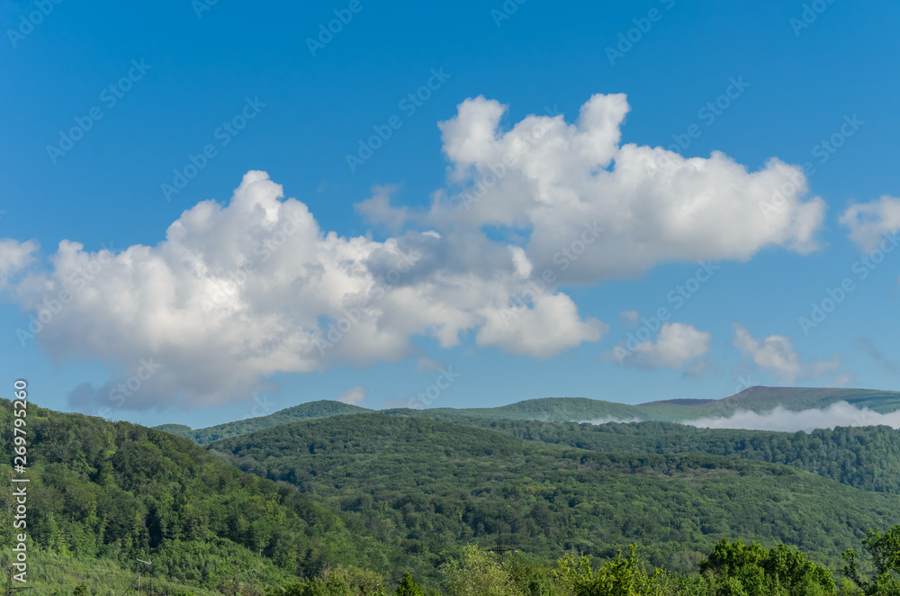 Mountains Carpathians covered with green trees with clouds in the sky
