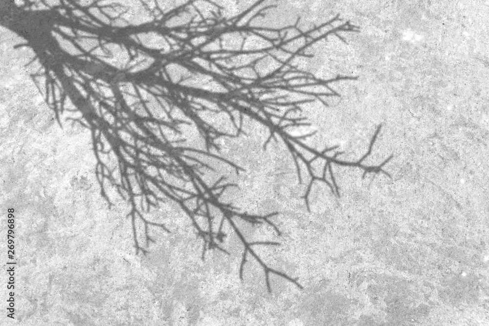 Grey grunge texture cement wall. copy space Grey grunge texture cement wall. copy space