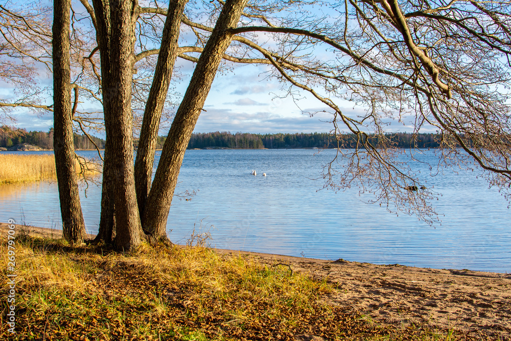 View to the sea shore and Gulf of Finland, trees, shore and sea, Kopparnas-Storsvik (Kopparnäs-Störsvik) recreation area, Finland View to the sea shore and Gulf of Finland, trees, shore and sea, Kopparnas-Storsvik (Kopparnäs-Störsvik) recreation area, Finland