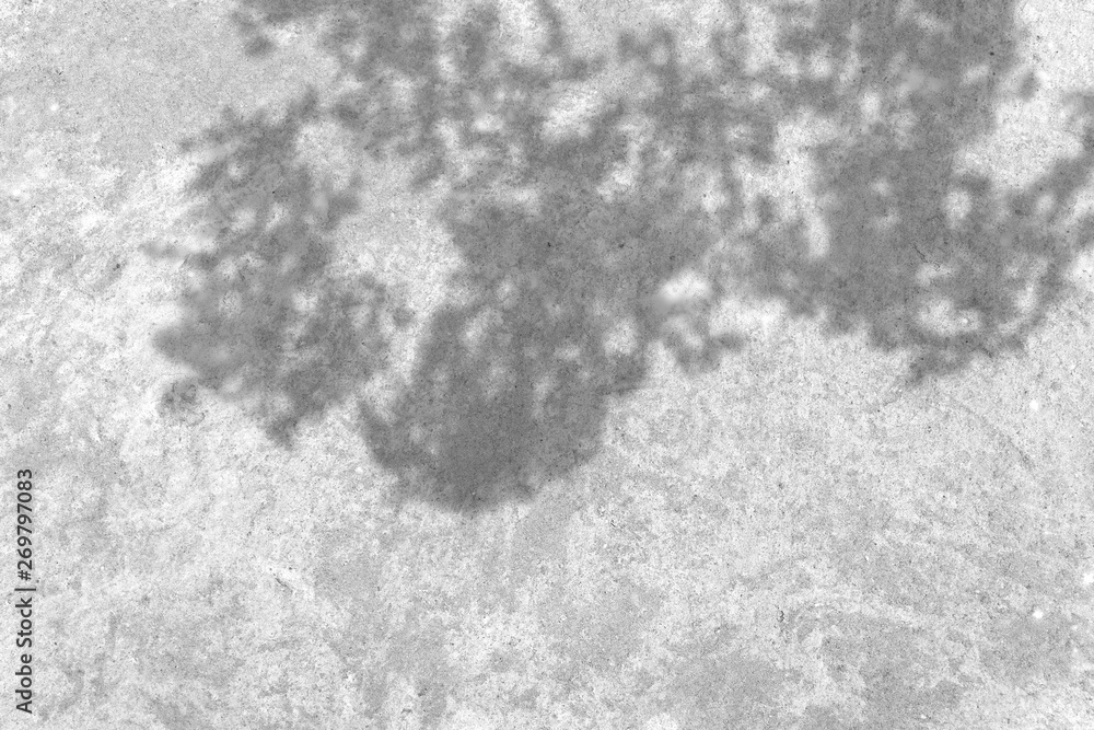 Fototapeta premium Grey grunge texture cement wall. copy space