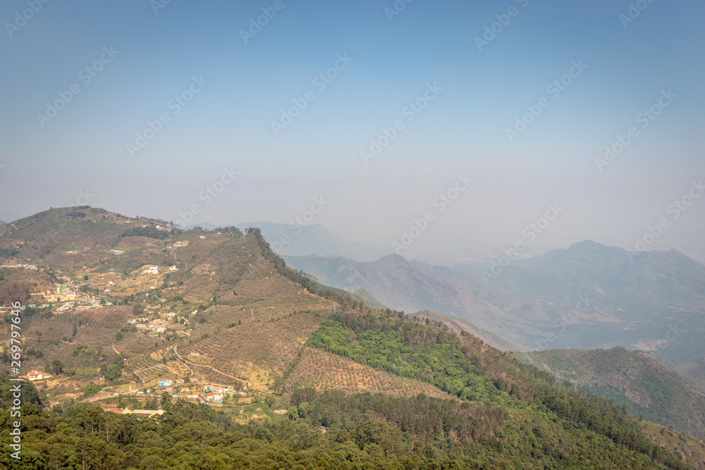 Hill view with green trees Hill view with green trees