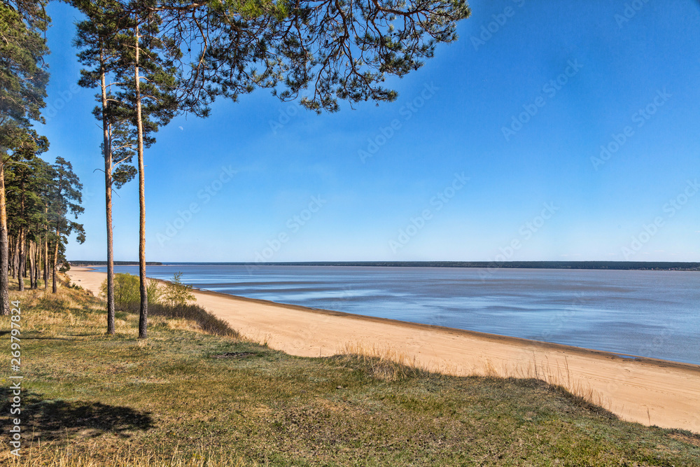 Green forest on the shore of the lake, sand on the shore, summer Green forest on the shore of the lake, sand on the shore, summer