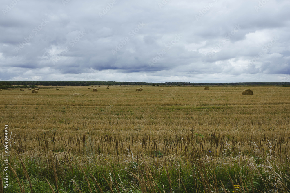 A sheaf of hay on yellow autumn field on a background cloudy sky. The harvest of hay. Autumn landscape in the field.