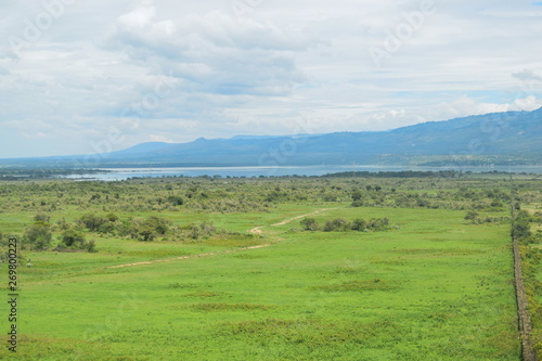 Lake against a mountain and forest background, Lake Elementaita, Kenya