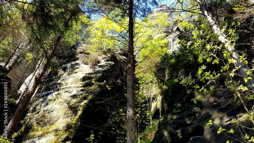 Forest park in the Czech Adrspach-Teplice Rocks Forest park in the Czech Adrspach-Teplice Rocks