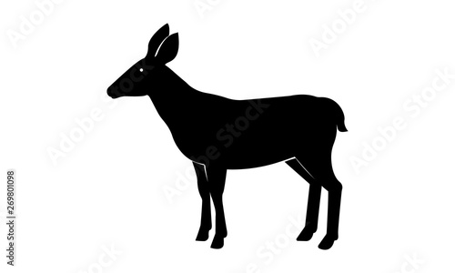 Deer vector illustration, Deer Logo Template - Vector 