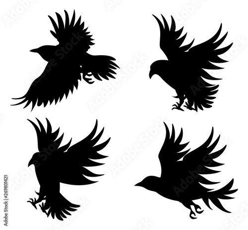 Vector image of silhouettes of birds in flight