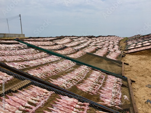 Natural dried octopus seafood in thailand