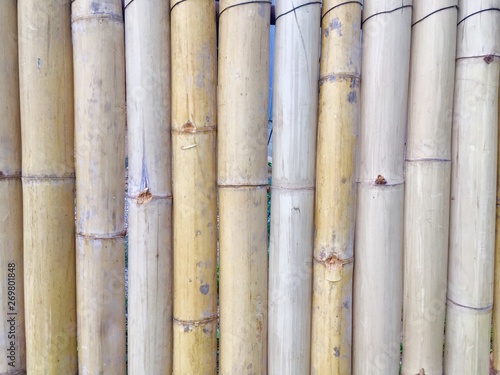Bamboo wall background nature thai