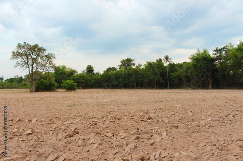 Farmers prepare soil for planting rice.