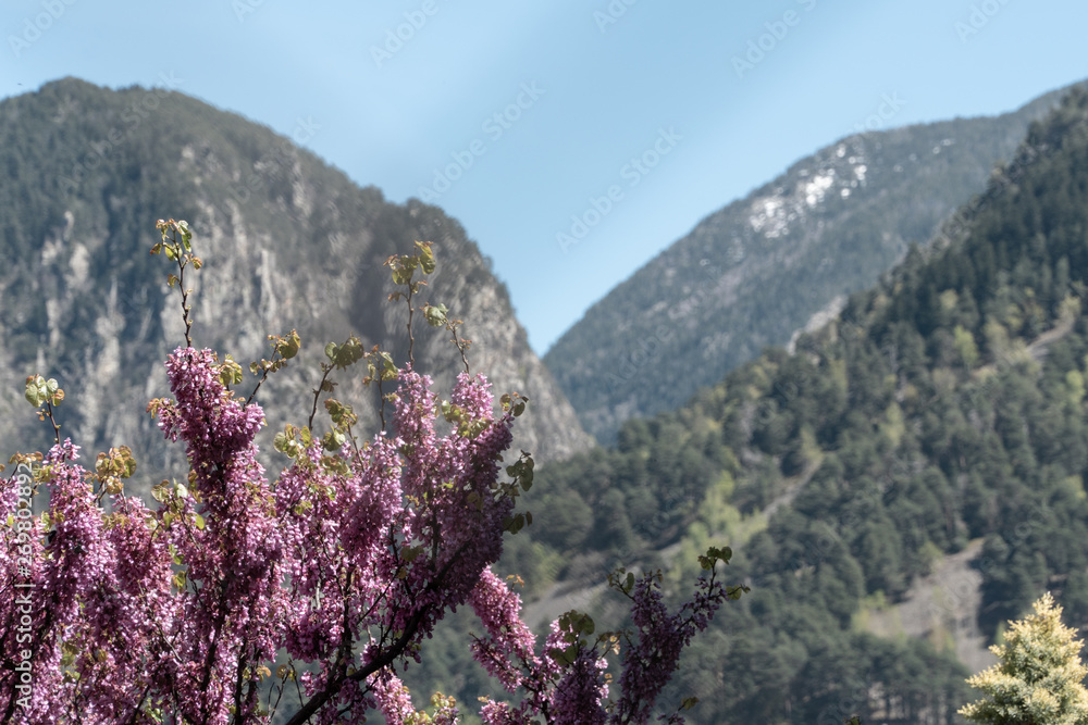 Views of Andorra la Vella from hiking trail Views of Andorra la Vella from hiking trail