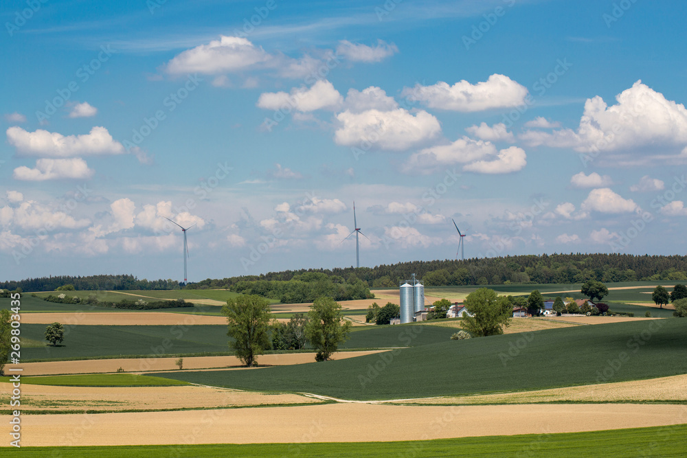 landscape, rape fields, rape seed and windmill