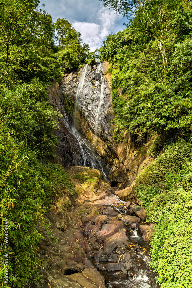 waterfall stone green moss rain forest