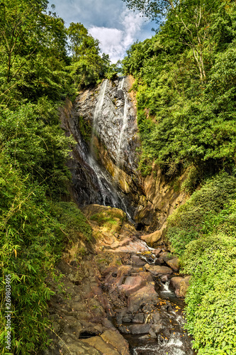 waterfall stone green moss rain forest