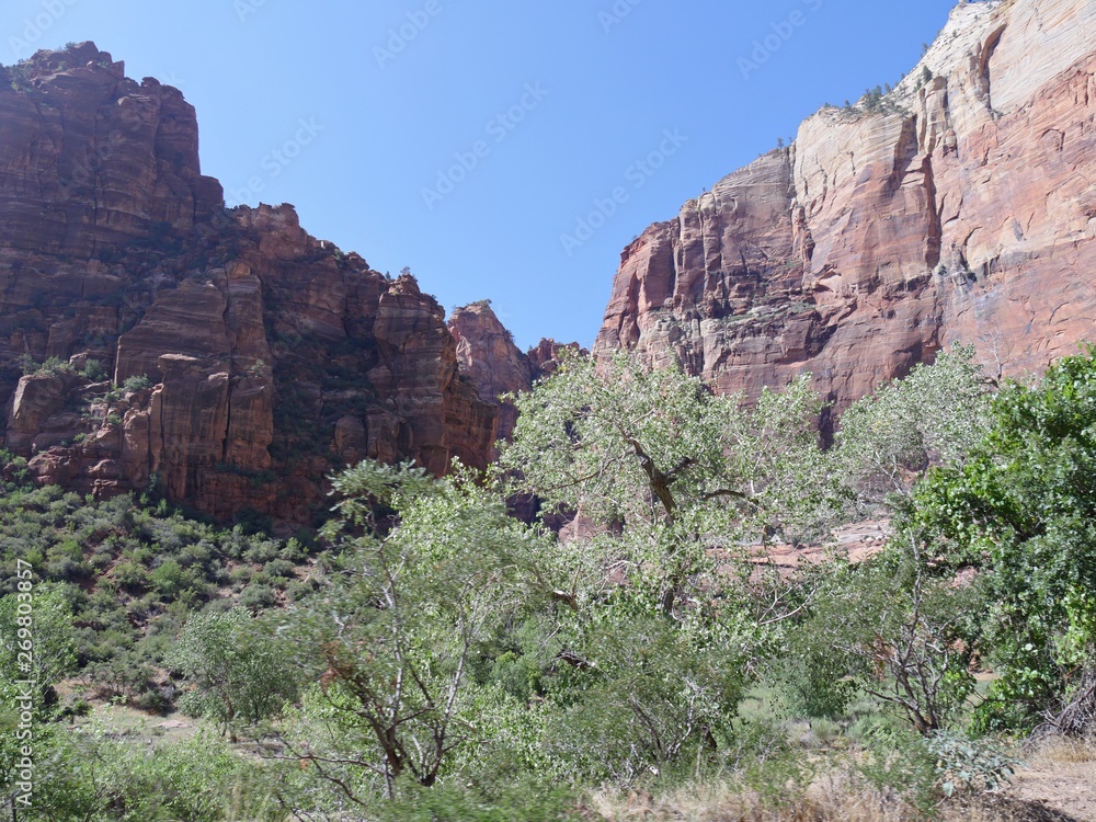 Fototapeta premium Zion National Park landscape in Utah, upward shot.