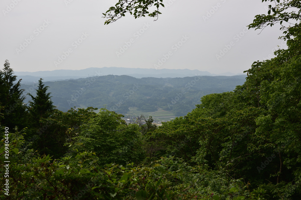 Obraz premium 日本の山の風景