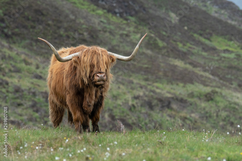 Schottland Isle of Skye