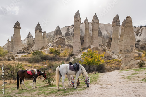 Horses with famous rock formations at background in Love valley, Cappadocia. 