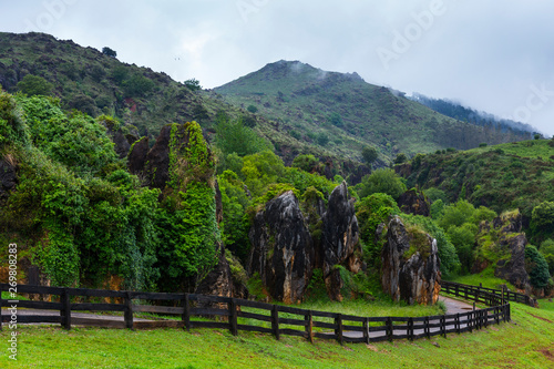 Natural Park of Macizo de Peña Cabarga, Cantabria, Spain, Europe photo