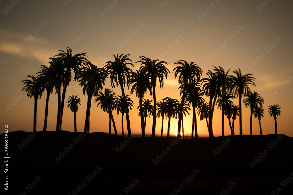 Tropical palm coconut trees on sunset sky nature background. Silhouette coconut palm trees on beach at sunset