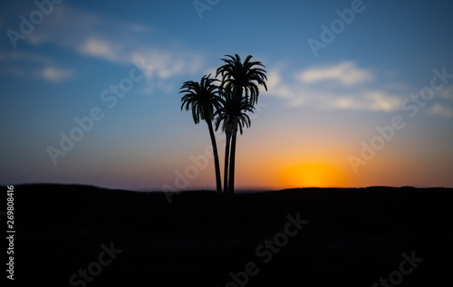 Tropical palm coconut trees on sunset sky nature background. Silhouette coconut palm trees on beach at sunset