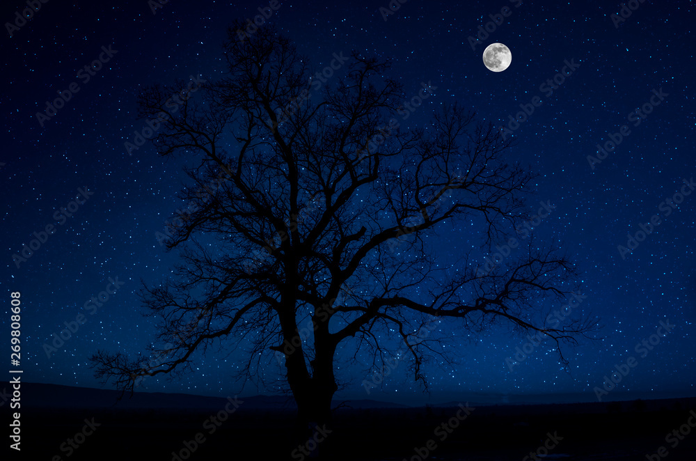 Mountain Road through the forest on a full moon night. Scenic night landscape of country road at night with large moon. Long shutter photo