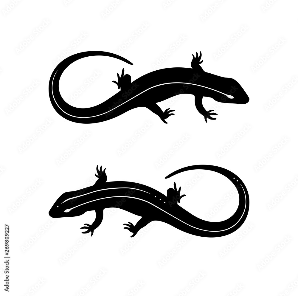 Naklejka premium Lizard black and white tattoo illustration vector