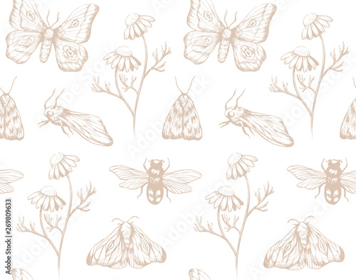 Insects with flowers botanical pattern on white