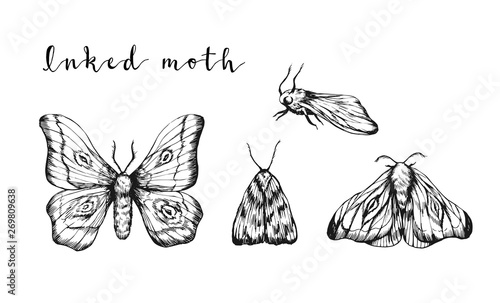 Ink sketches of moth set isolated