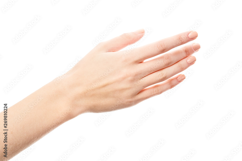 Female hand isolated on white background. White woman's hand showing symbols and gestures. Palm