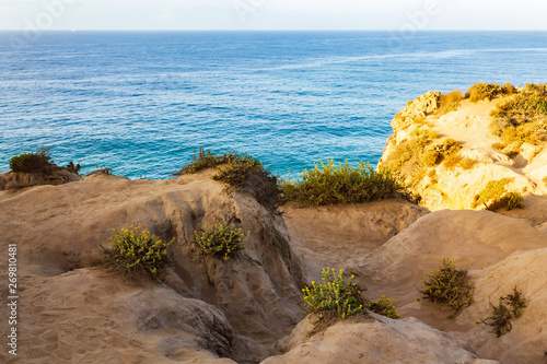 weathered sandstone path to cliff edge with western wallflower 
