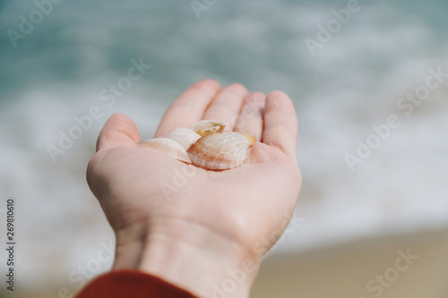 Shells in female hand with sea at background