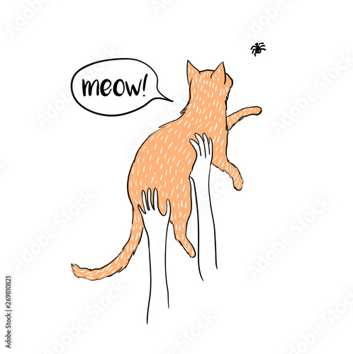 Funny cat illustration vector t-shirt print
