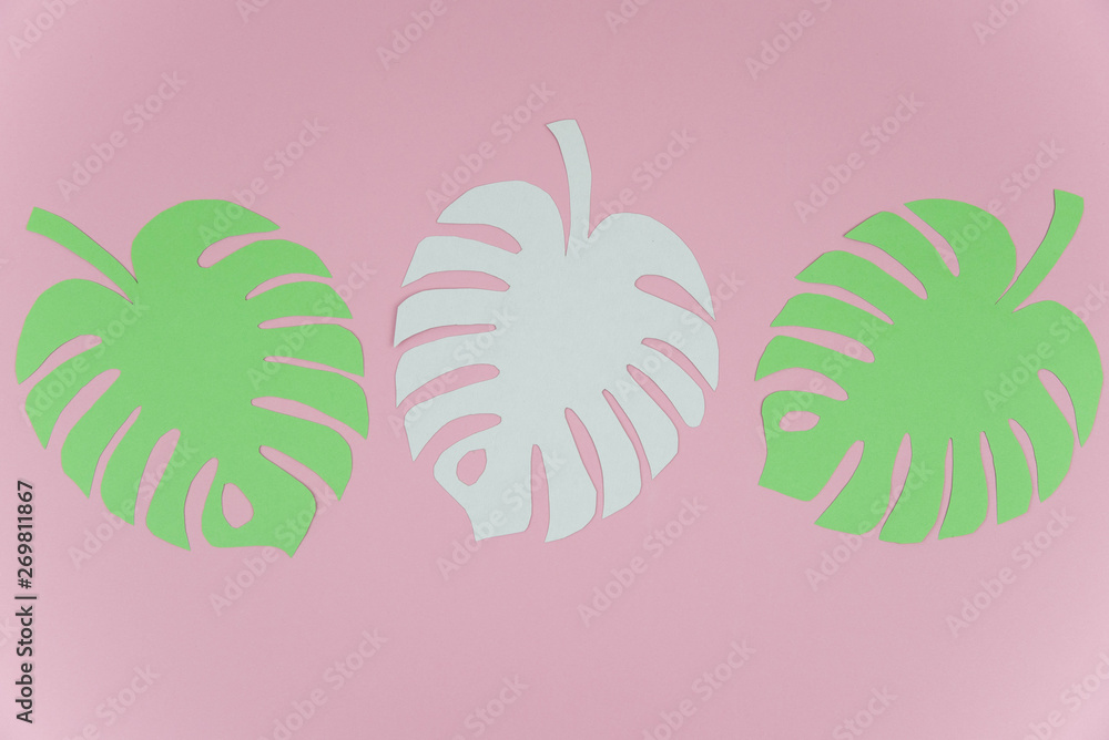 Colorful exotic monstera tropical palm leaves made of paper on trendy pink background with copy space for text. Homemade papercraft. Summer concept. Flat lay top view. Colorful exotic monstera tropical palm leaves made of paper on trendy pink background with copy space for text. Homemade papercraft. Summer concept. Flat lay top view.