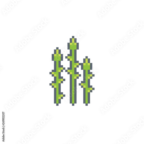 Pixel art asparagus icon.Vegetables vector sign for for web, mobile design and pixel games.