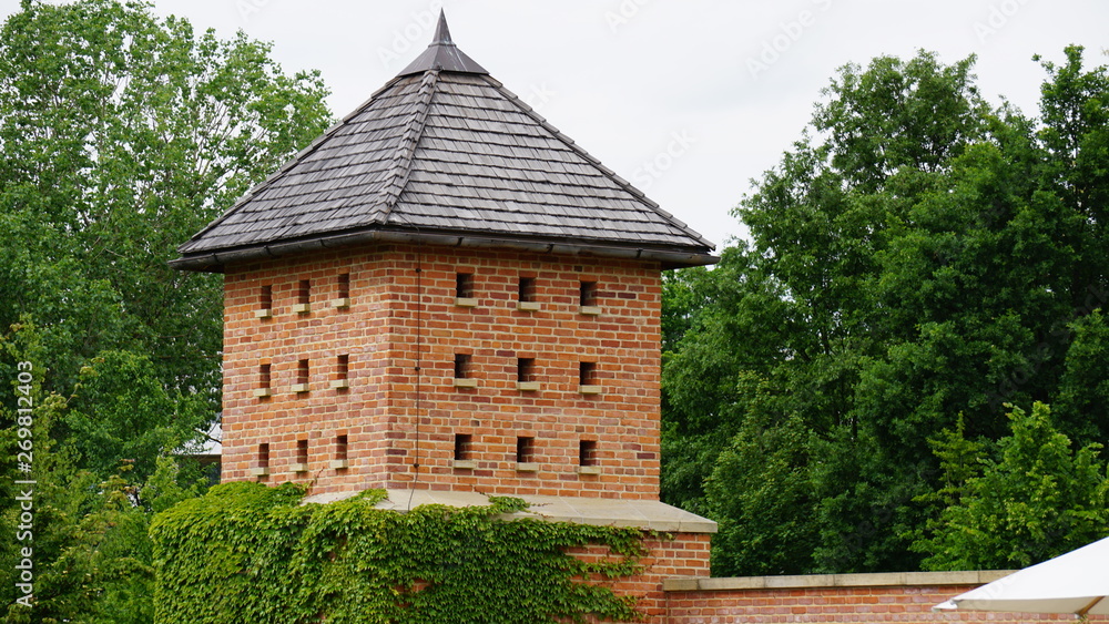 Fototapeta premium Stein