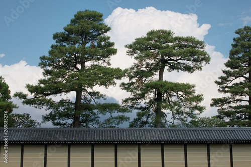 Japanese traditional earthen and landscape