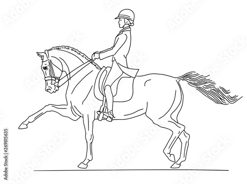 A young rider on a horse demonstrates a high trot