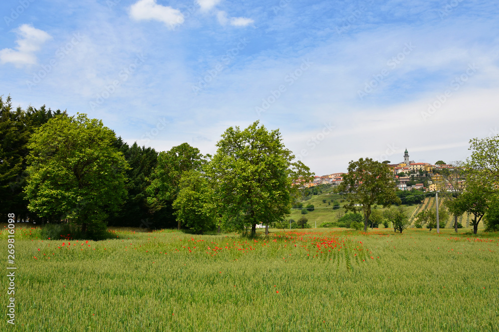 Fototapeta premium View of the town of Sant'Angelo all'Esca in the Campaniaa region, Italy